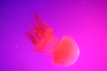 0B65E4F9-05FD-48F1-87D4-9857C8DAA67B/L0/001