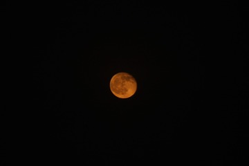 1307151