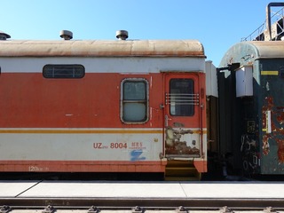 66006