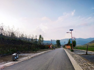 8004964