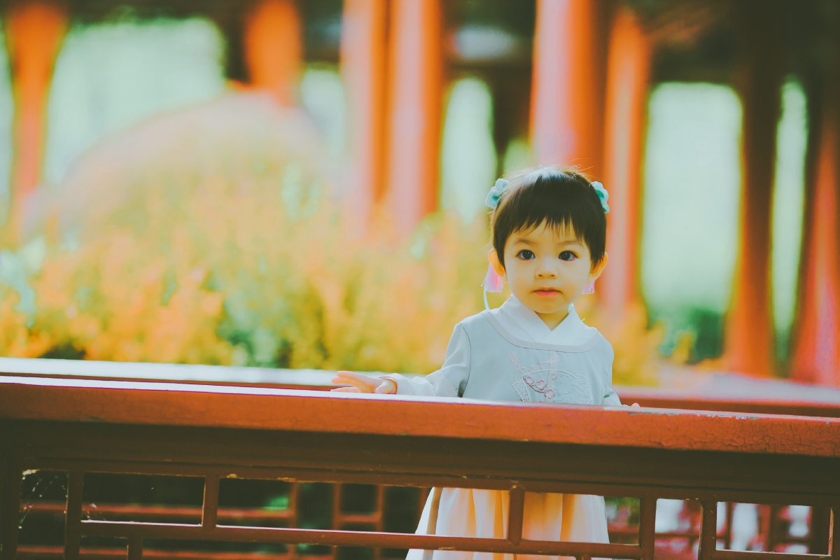 A智博专升本咨询