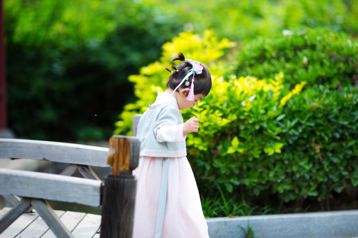 A智博专升本咨询