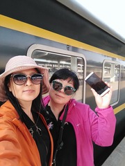 26081