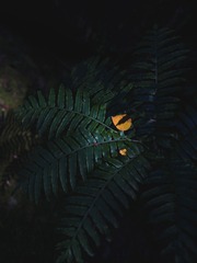 1232851