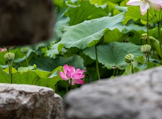 001