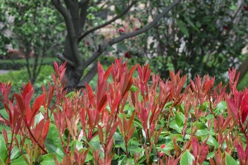 720109