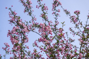 720128