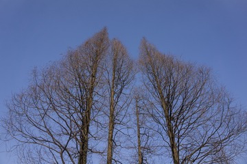 720070
