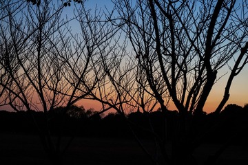 2017DSC00101