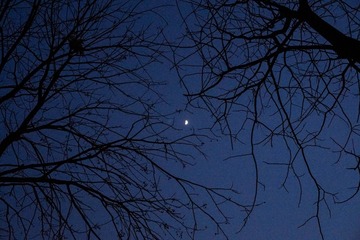 2017DSC00119