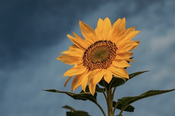 174052