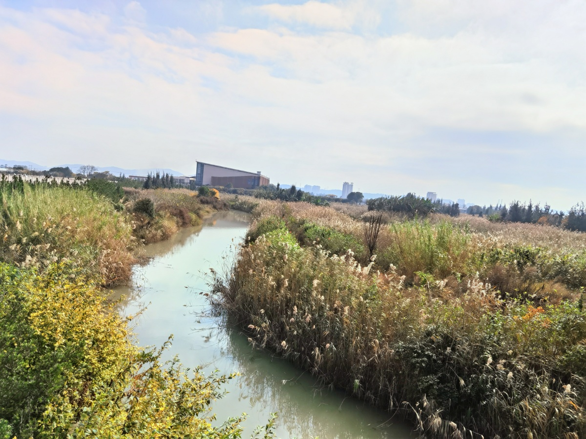 美丽的福建长乐区闽江河口国家湿地公园好美70▽70随手一拍都是
