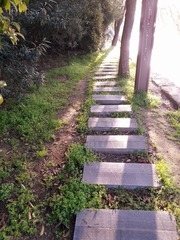 2288924