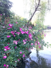 20139