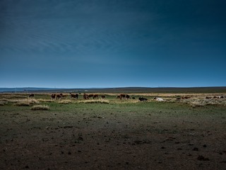 182053