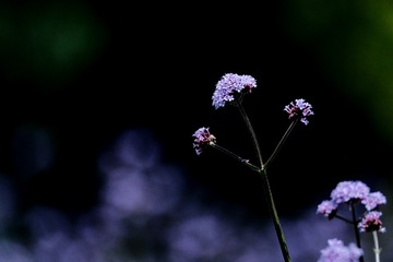 220400