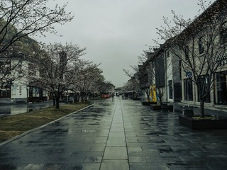 175741