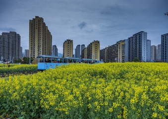 175530