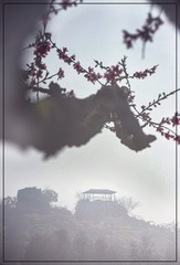 178027