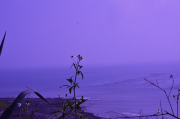 453615