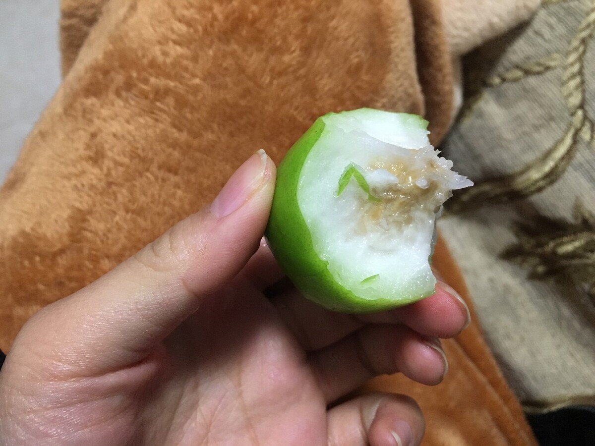 香梨表面油油的怎么回事