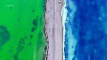 2562228