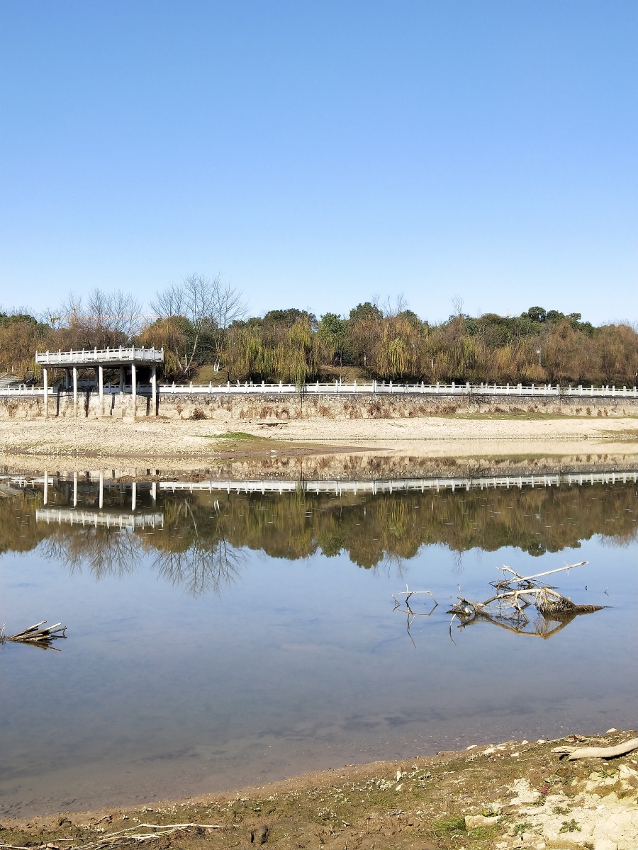 这张照片拍的就是王安石公园的一角,王安石作为临川从古至今最为出众