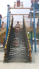 15466