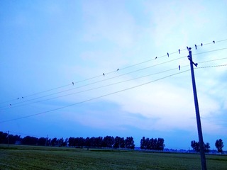 88093