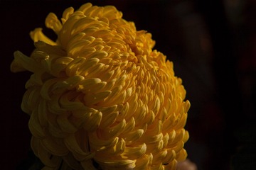 8056F79C-5238-4CED-A95C-D454E88116B0/L0/001