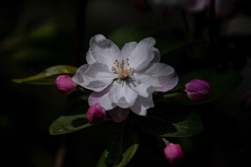 F4707541-F580-4739-BD17-ED52BE3AF435/L0/001