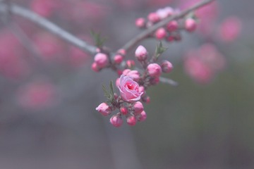 C9AACD76-EA89-408E-9999-3517F00B68C2/L0/001