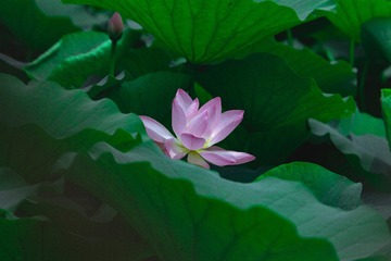 16EC77F8-59B7-4E3A-BB1C-440FA9B302EB/L0/001