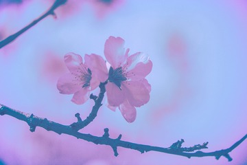F673114F-EE0B-4D73-8798-E4B23D04C8D6/L0/001