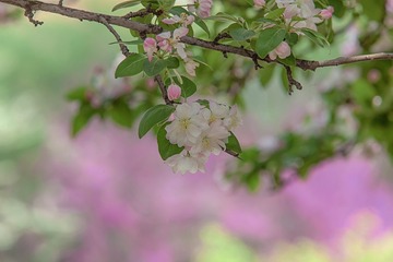 E1BB1615-5849-4F1C-B355-63219D15707B/L0/001