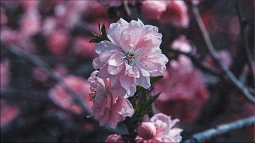 0A8D0B75-9484-48DC-B4D7-15377E61B5E7/L0/001