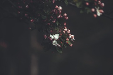 A45F4B28-0B96-48C2-8116-3E0BE82E2745/L0/001