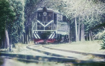 CCF0651A-388A-48FB-A67A-4BBE8050570A/L0/001