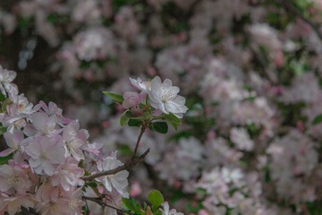 6A074FFC-4AAC-438C-9C5C-F11ACB7C22FD/L0/001