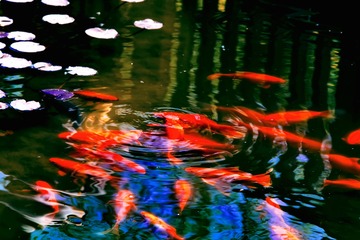 32B26011-E10B-4646-A88A-8350B1C1AB0B/L0/001