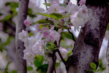 BD9067F6-352E-4554-BDE5-FFDE5F148A55/L0/001