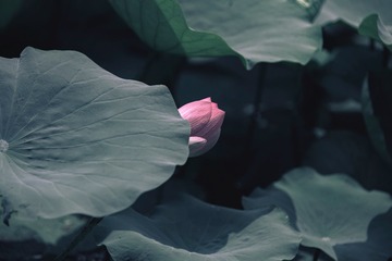 82D9FDF2-EF1F-4D40-8D2A-AB5310177A5A/L0/001