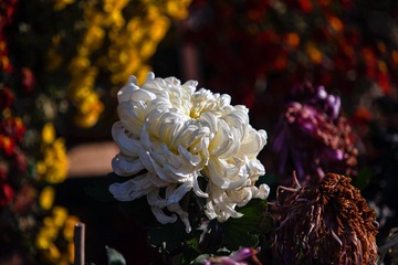 4C45E117-19AC-4762-BE1F-6345633AEF01/L0/001