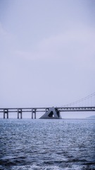 AC82B175-49F5-40A0-9D36-61FD04FC0719/L0/001