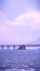 C54AA2F5-4989-4E45-8459-D12303DD5426/L0/001