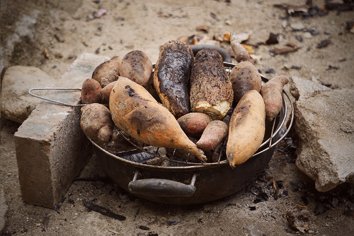 烤红薯烤木薯