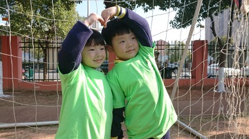 52781