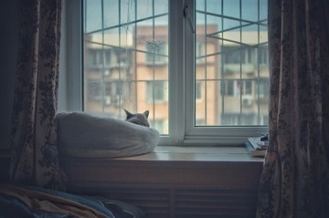 150361