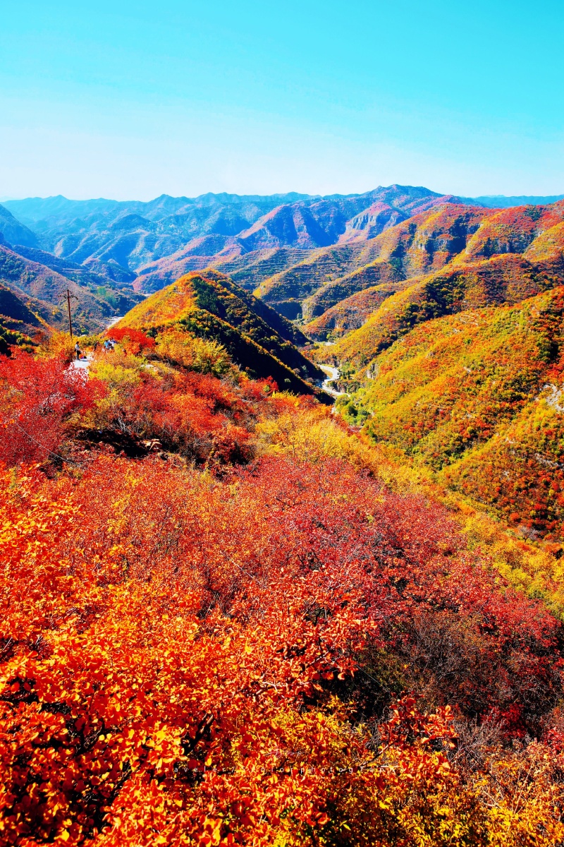 深秋的北方已万山红遍