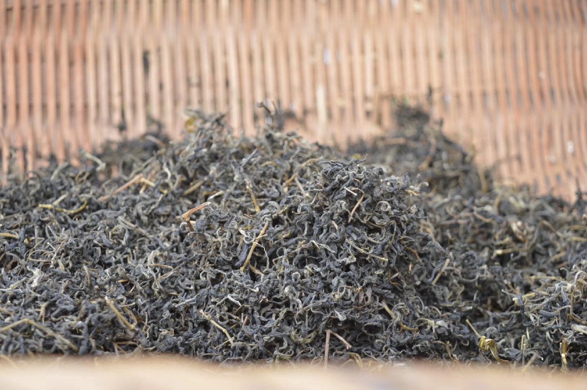 布荆茶据本草纲目和中药大词典记载荆惊叶味辛苦平和无毒具有沥除风热